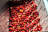 Private Label Coffee